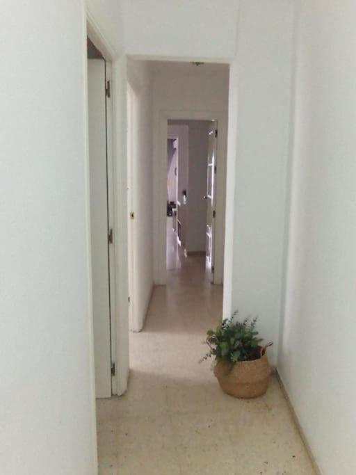 Apartamento Plaza Toros Севиля Екстериор снимка